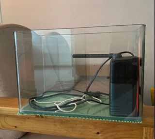 (Category: ) located in . Submitted by stupiddeadbird (Listing ID 1125976043, Image 1). Description: .