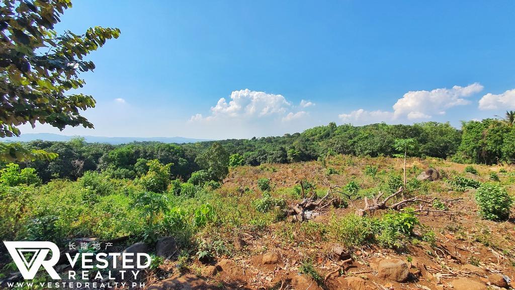 Mango Farm Lot in Tanay Rizal for Sale, Property, For Sale, Lot on