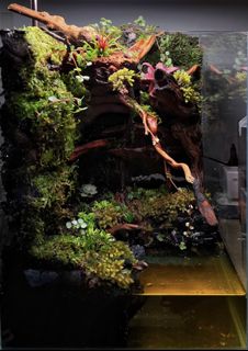 (Category: ) located in . Submitted by luklukzim (Listing ID 1125971997, Image 1). Description: .