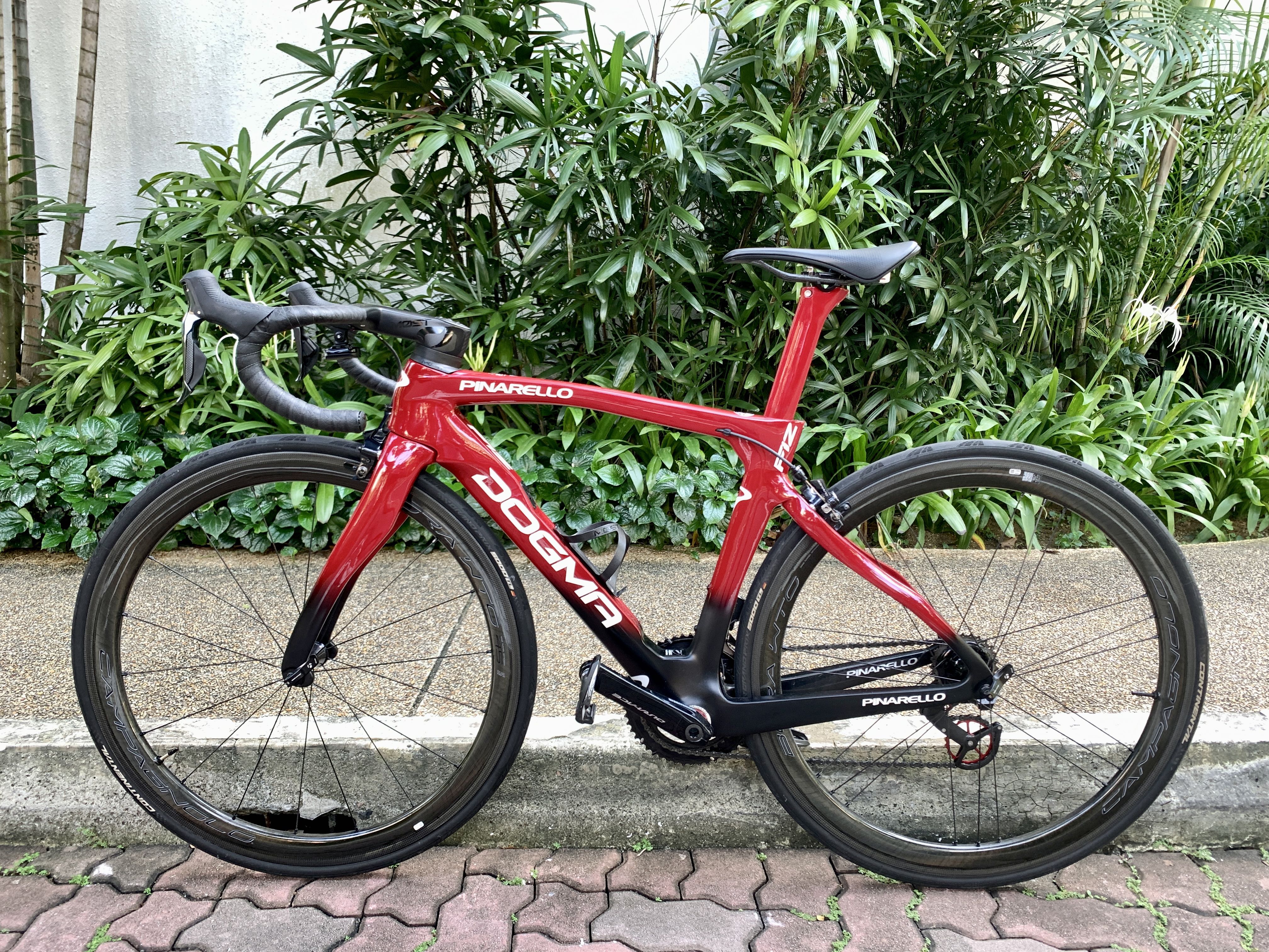 Pinarello shop dogma 46.5