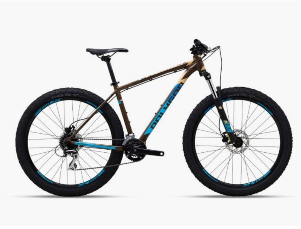 Polygon xc sport shop