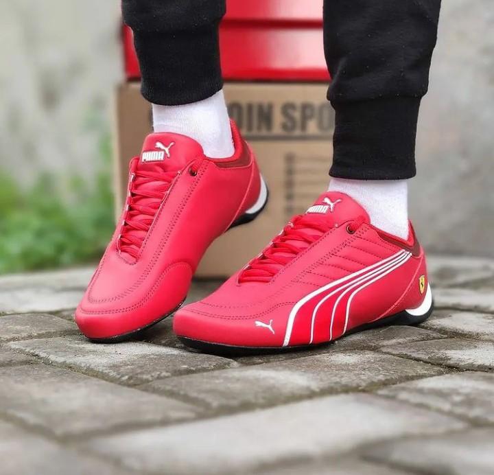 puma ferrari sf future kart cat