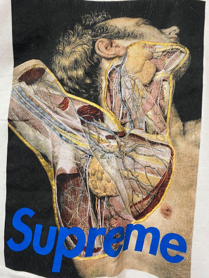 Supreme 2025 anatomy shirt