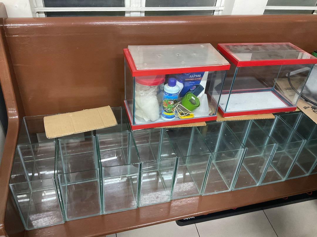 Betta shelf aquariums rack set fish tank storefront (Category: Homes & Other Pet Accessories) located in Quezon City. Submitted by cocopeats (Listing ID 1126173388, Image 3). Description: Included: - SOLD! 26pcs Betta tanks (4 1/2” x 6” x 8”). - AVAILABLE! 2 pcs small aquariums (not sure ilang gallons. Maybe 2 or 2.5?). Used. - AVAILABLE! Custom made shelf that could fit up to 24 of the betta tanks. Used. Anything that isn’t mentioned here is not