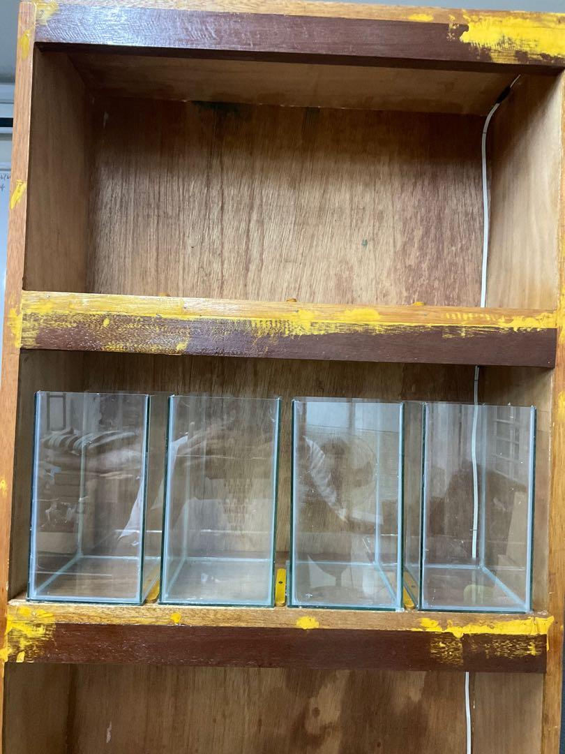 Betta shelf aquariums rack set fish tank storefront (Category: Homes & Other Pet Accessories) located in Quezon City. Submitted by cocopeats (Listing ID 1126173388, Image 1). Description: Included: - SOLD! 26pcs Betta tanks (4 1/2” x 6” x 8”). - AVAILABLE! 2 pcs small aquariums (not sure ilang gallons. Maybe 2 or 2.5?). Used. - AVAILABLE! Custom made shelf that could fit up to 24 of the betta tanks. Used. Anything that isn’t mentioned here is not