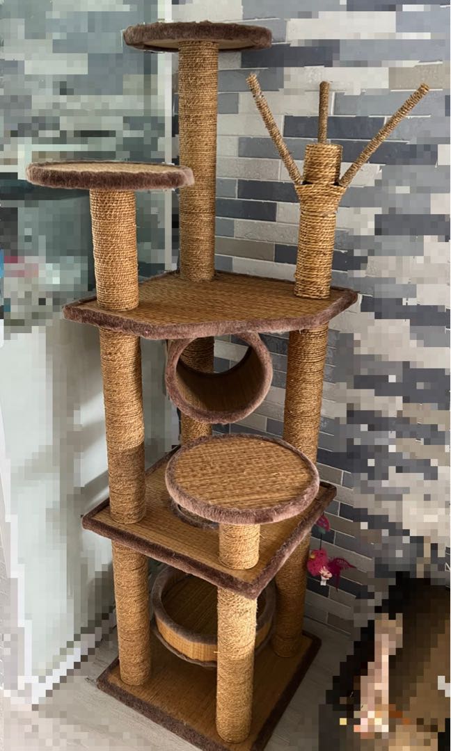 Cat Tree, Pet Supplies, Homes & Other Pet Accessories on Carousell