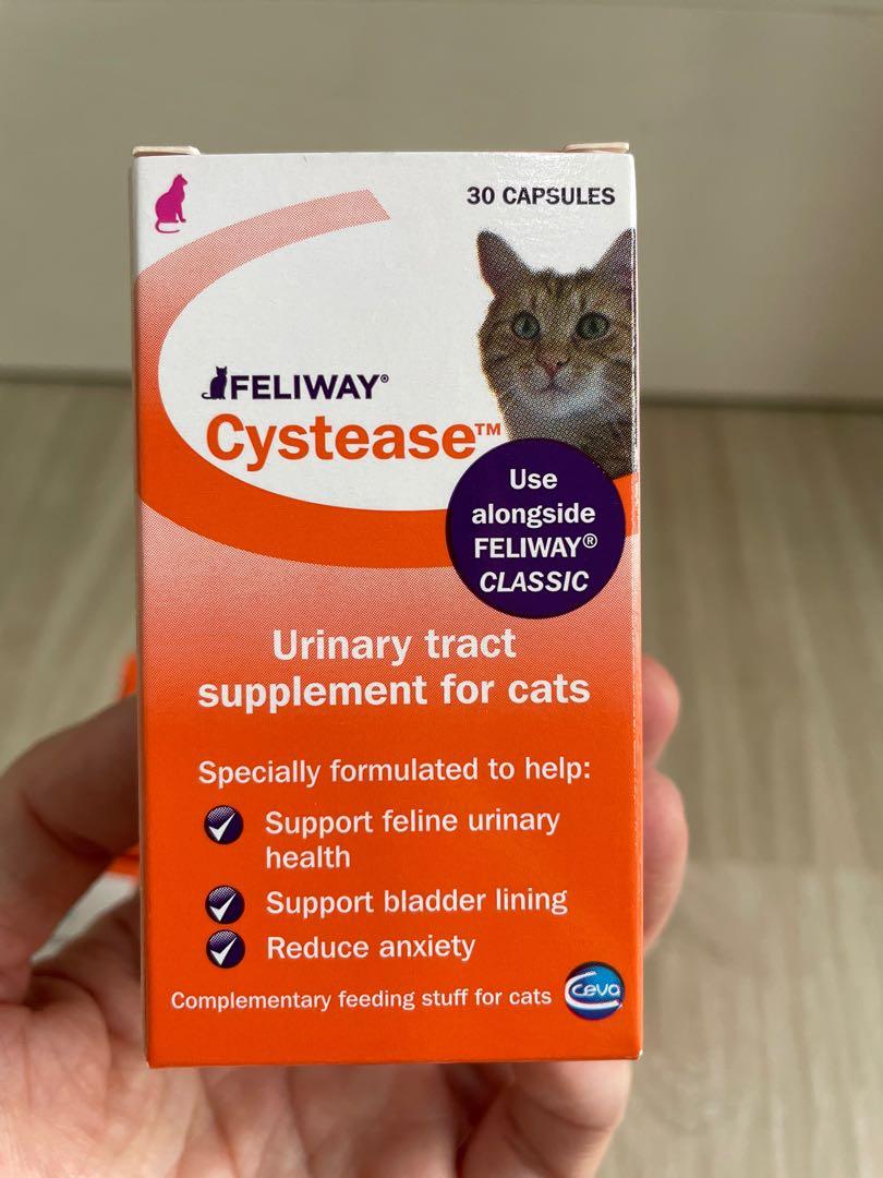 Cystease hotsell for cats