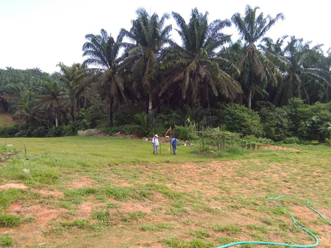 For Sale Tanah Pertanian Kulai Jaya Johor Property For Sale On Carousell