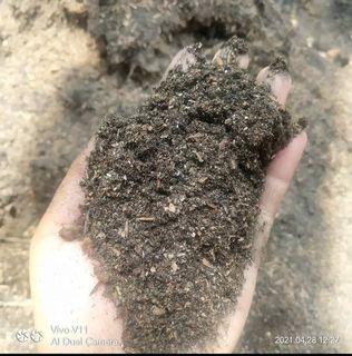 Garden soil and carbonized Rice Hull