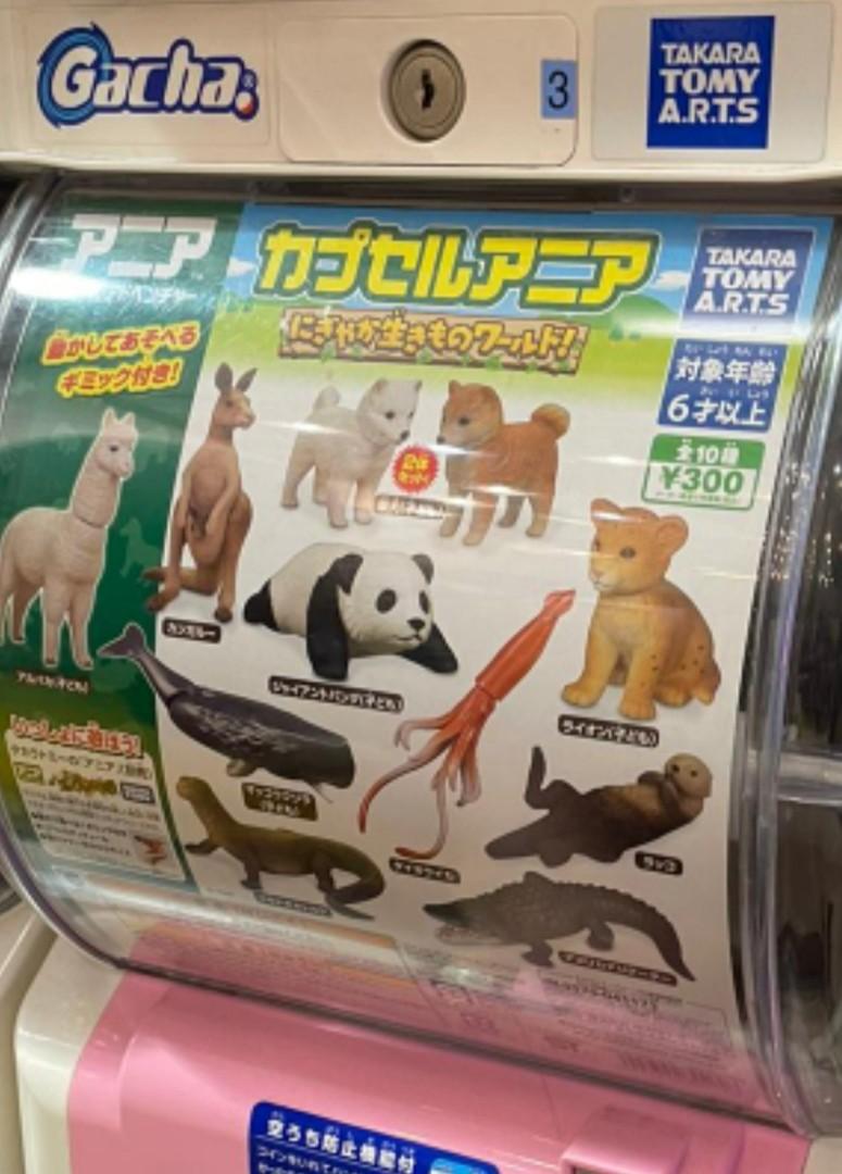 Gashapon Takara tomy animals toys, Hobbies & Toys, Toys & Games on Carousell