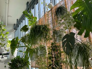 (Category: ) located in . Submitted by usernameforthisapp (Listing ID 1082411043, Image 1). Description: .