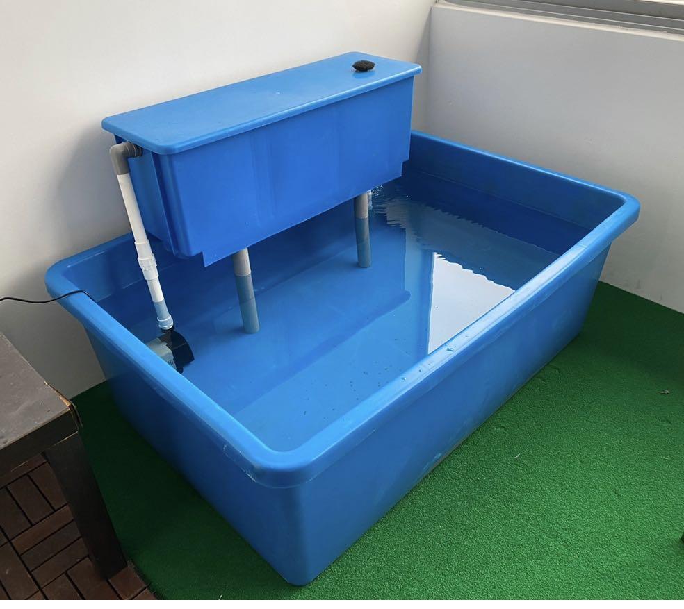 Large Plastic Fish Tank, Pet Supplies, Homes & Other Pet Accessories on