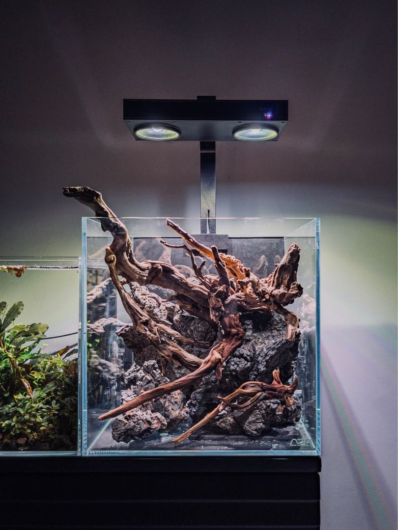 hard aquascape