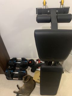 （分類：）位於 。 由 ult0612 提交（商品編號 1126308029，圖片 1）。簡介： 。