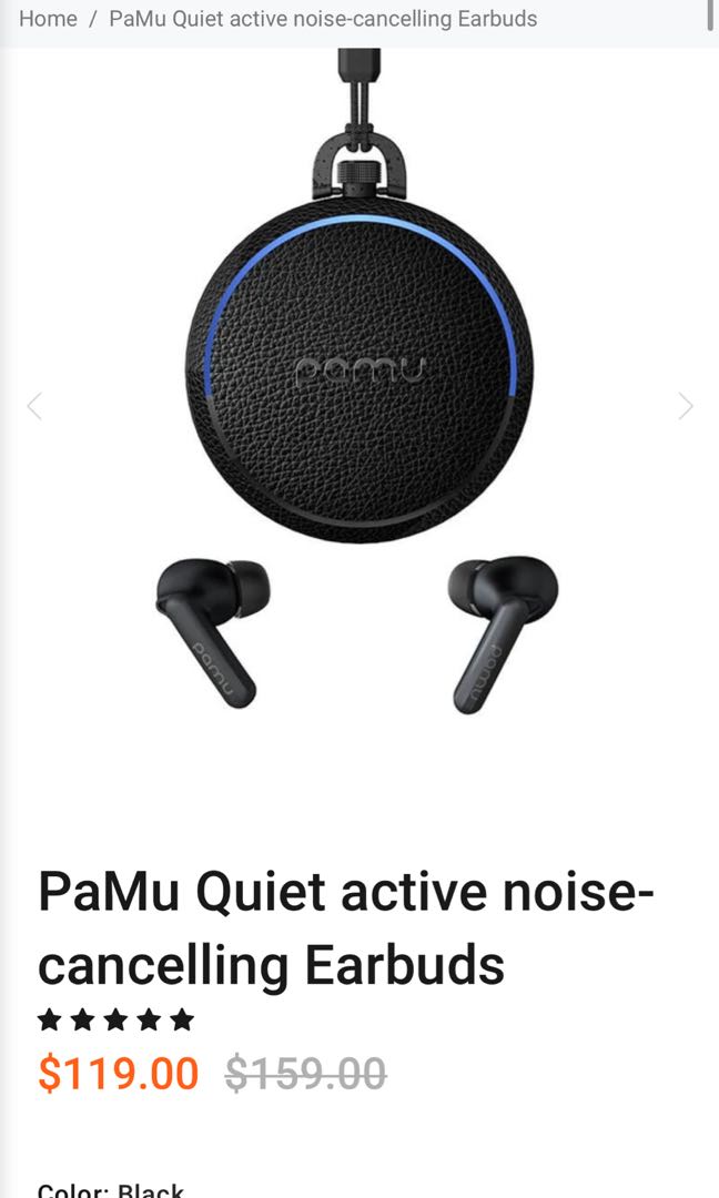 Pamu quiet, Audio, Earphones on Carousell