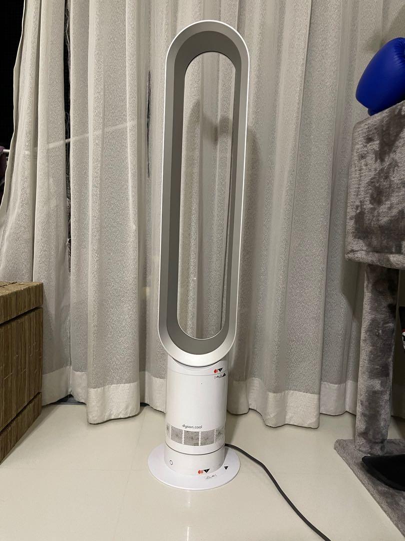 Dyson Fan (With Best Denki Warranty 
