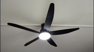 (Category: ) located in . Submitted by eddy72_2024 (Listing ID 1123771537, Image 1). Description: .