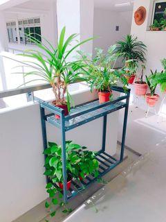 Modern Heavy Duty 2-Tiers Flower Plant Rack Balcony Display Shelf for HDB corridor