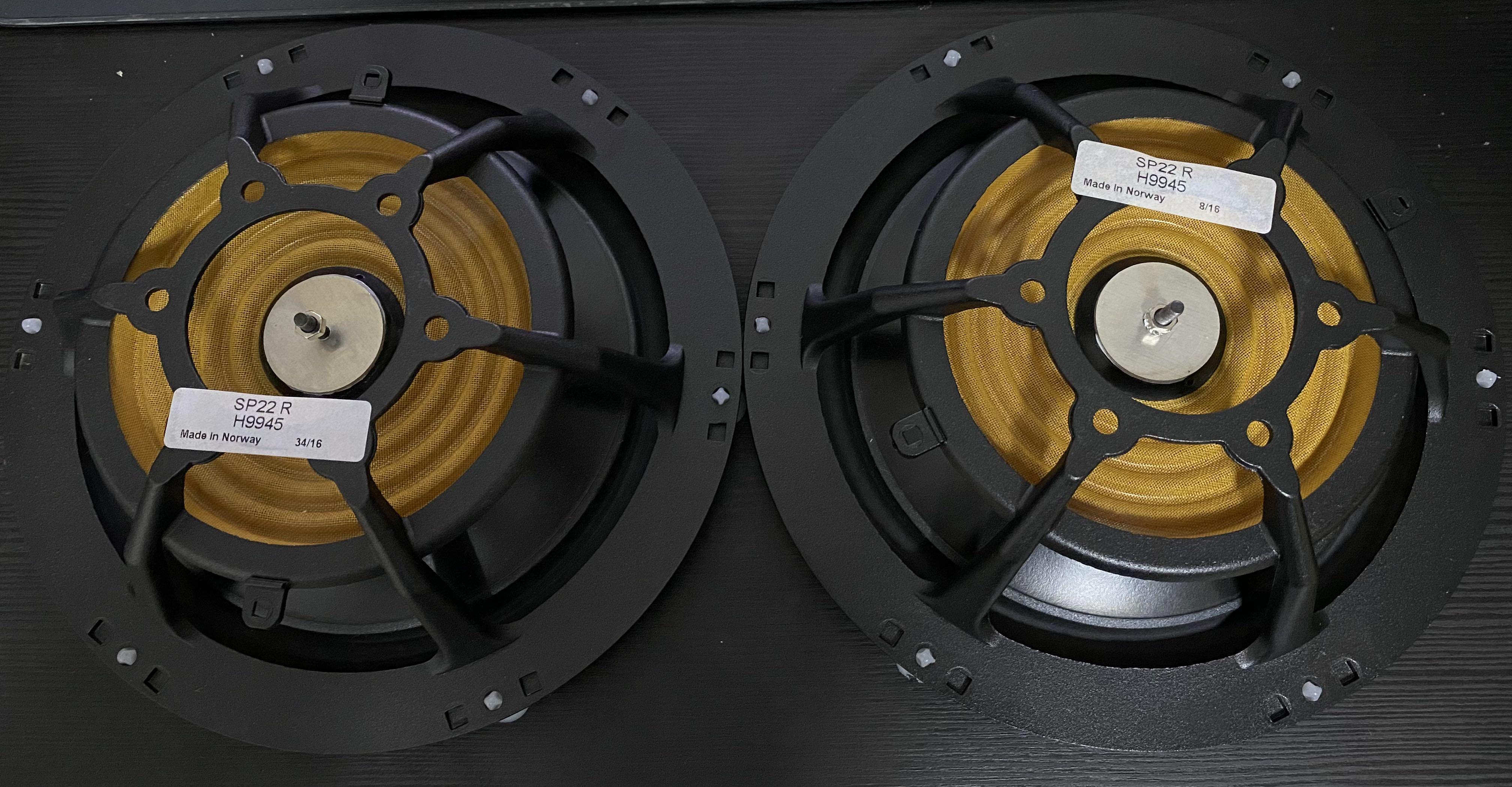 Seas hotsell passive radiator