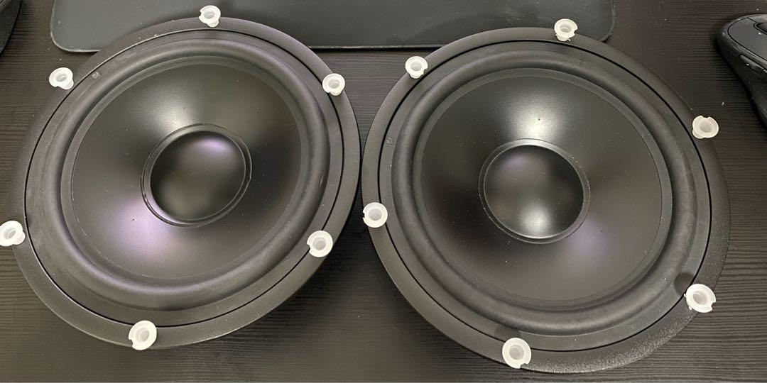 SEAS Prestige SP22R H9945 8 passive radiator pair