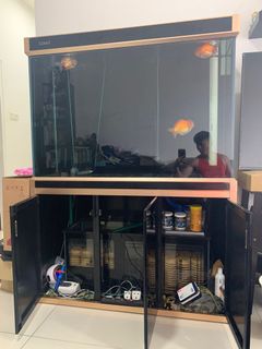 (Category: ) located in . Submitted by harvardwong (Listing ID 1126413978, Image 1). Description: .