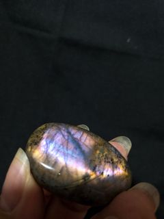 (Category: ) located in . Submitted by palace_of_crystal (Listing ID 1126522889, Image 1). Description: .