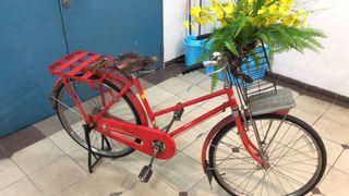 Vintage Bicycle Japanese Chinese