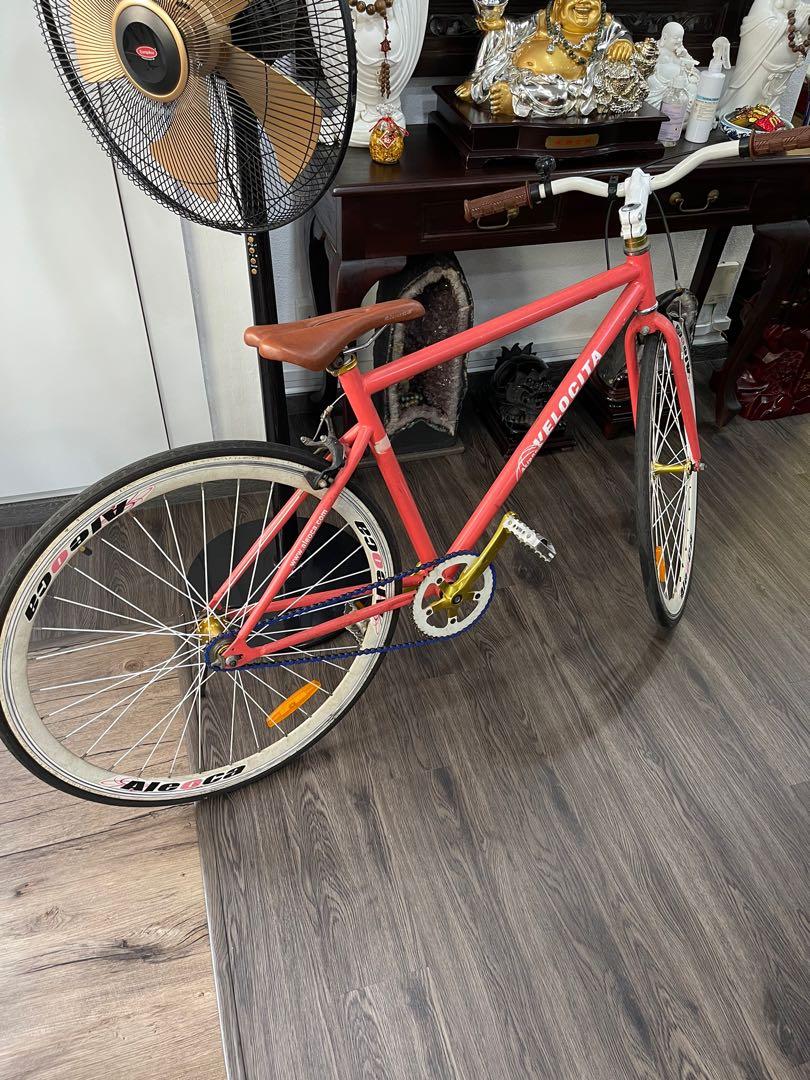 Aleoca fixie store