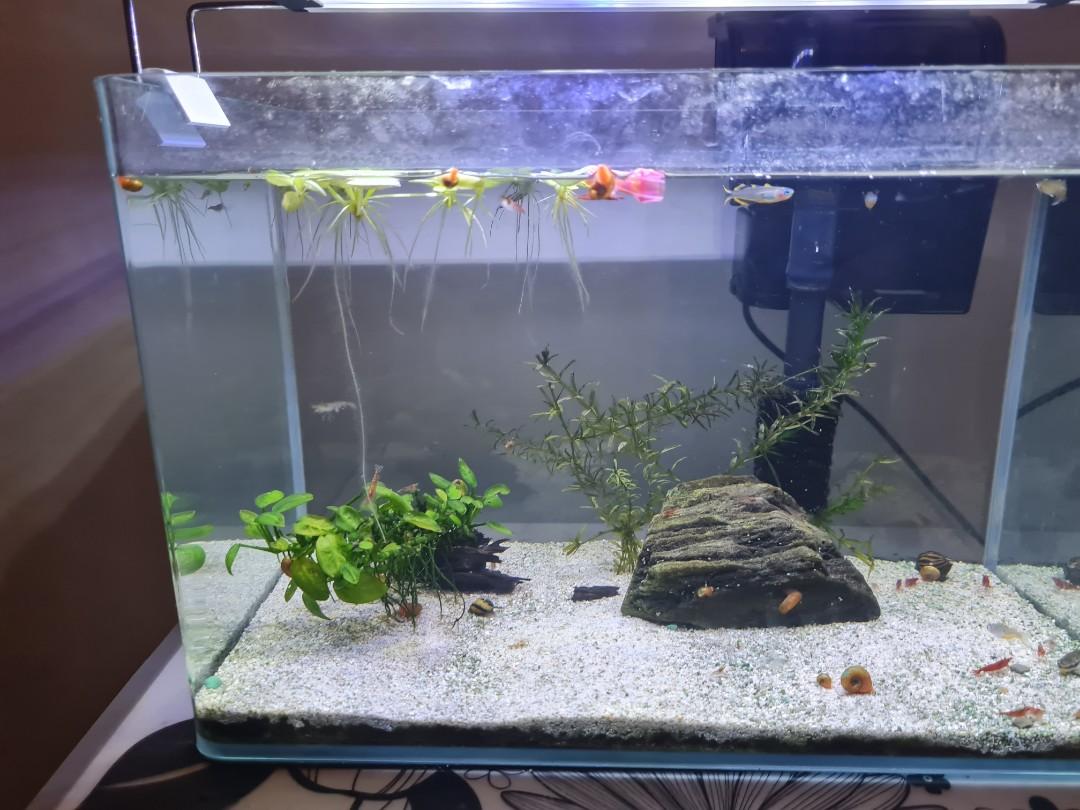 ikea table for aquarium