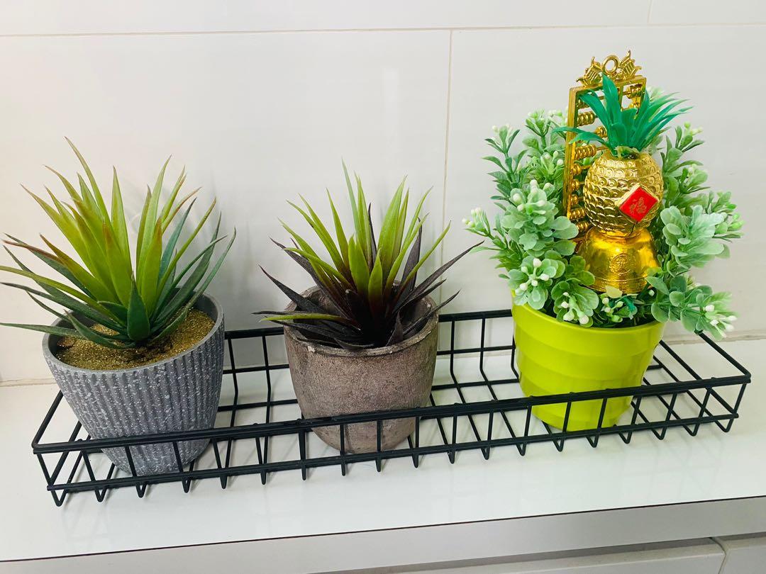 Artificial small Plant, Furniture & Home Living, Home Decor, Artificial