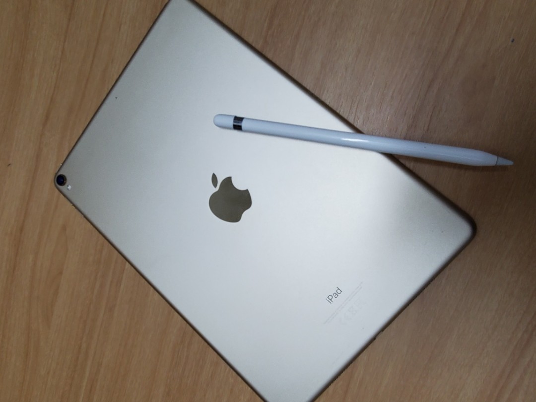 深緑(ふかみどり) iPad PRO 10.5 64GB Apple pencil対応 管理504 ...