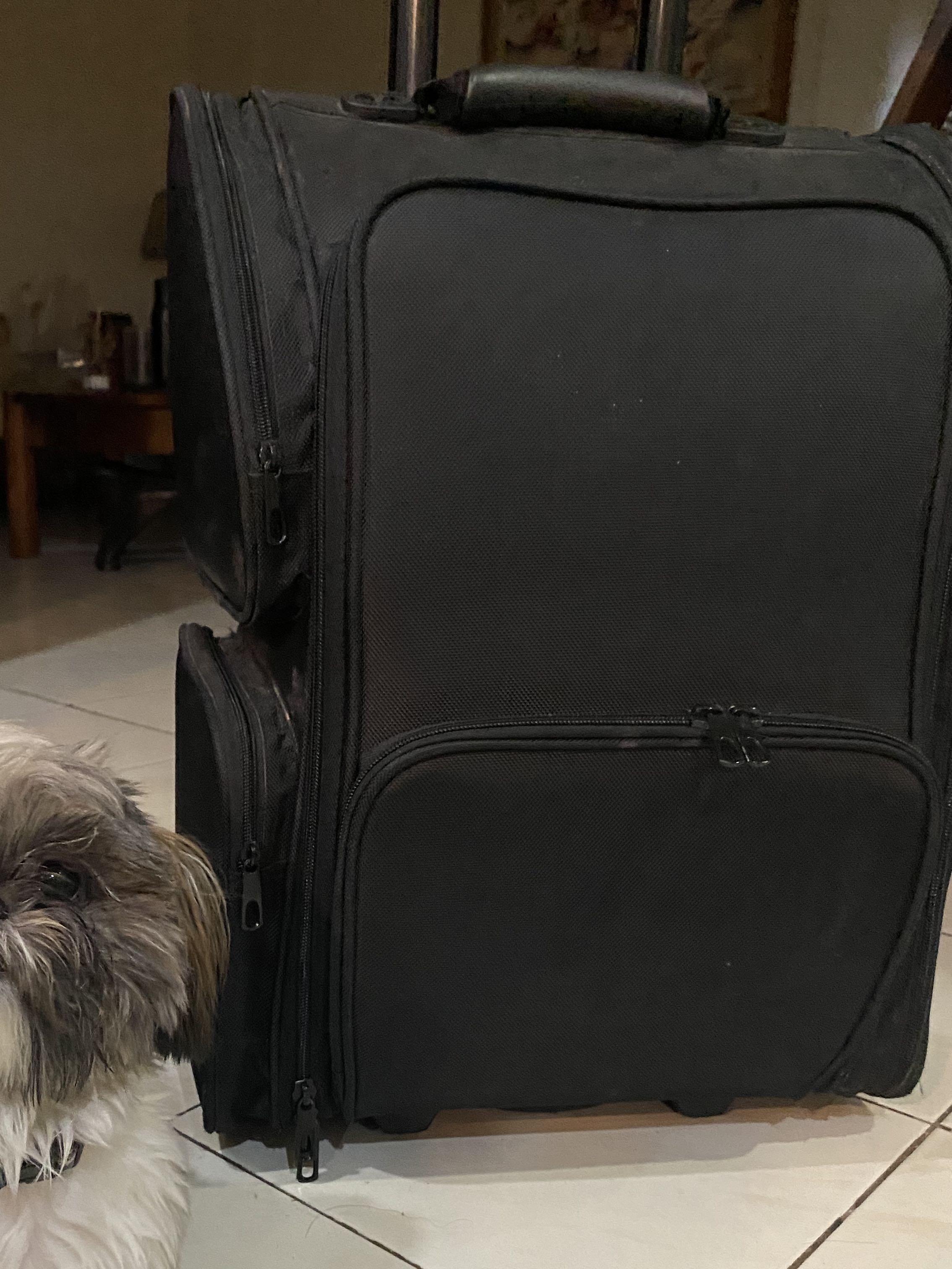 Makeup Artist Trolley Luggage Bag (Category: Makeup) located in Quezon City. Submitted by idassc (Listing ID 1126635823, Image 2). Description: used, in great condition will be cleaned and sanitized makeup tools and bags can be bought separately as package.