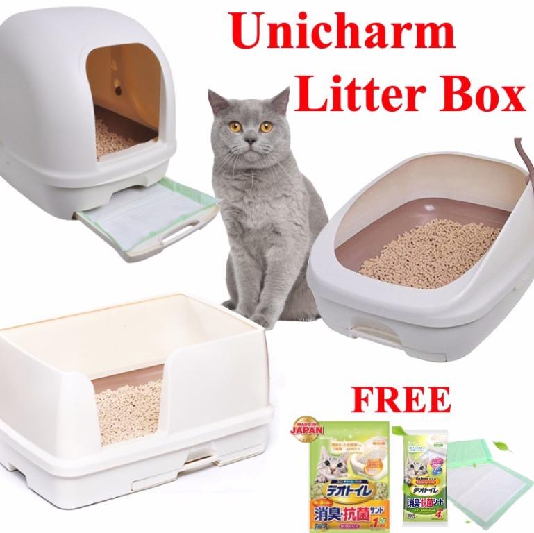 Japanese cat deals litter box