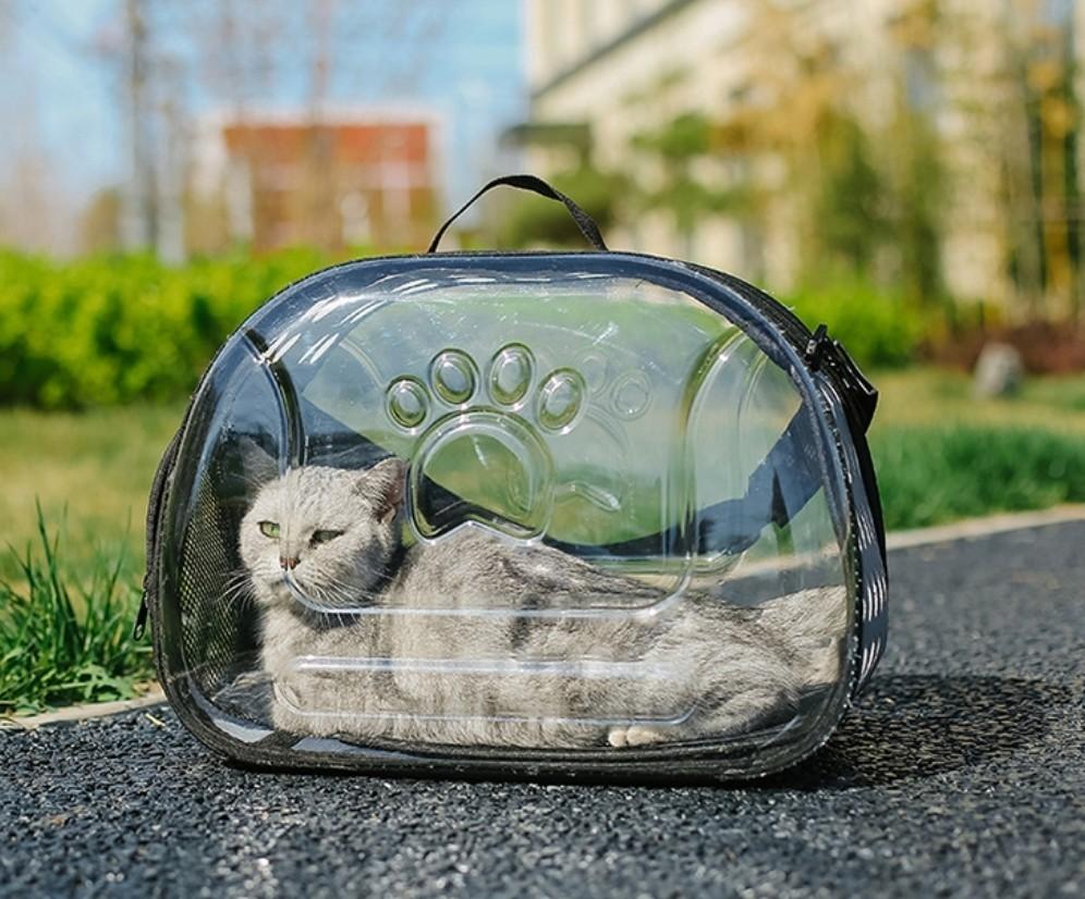 11 11 Limited OFFER Cat carrier only 19.90. Delivery