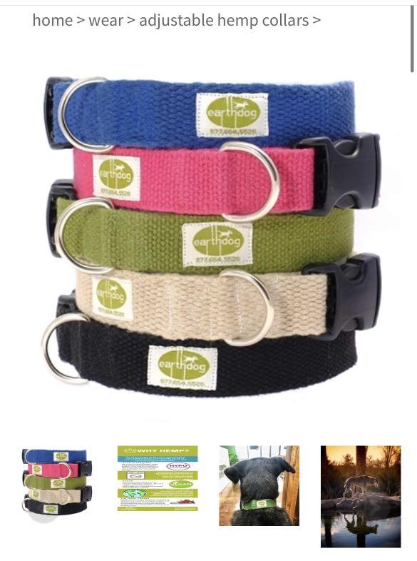 earthdog collars