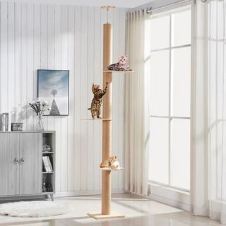 (Category: ) located in . Submitted by 4season_cats (Listing ID 1123159068, Image 1). Description: .