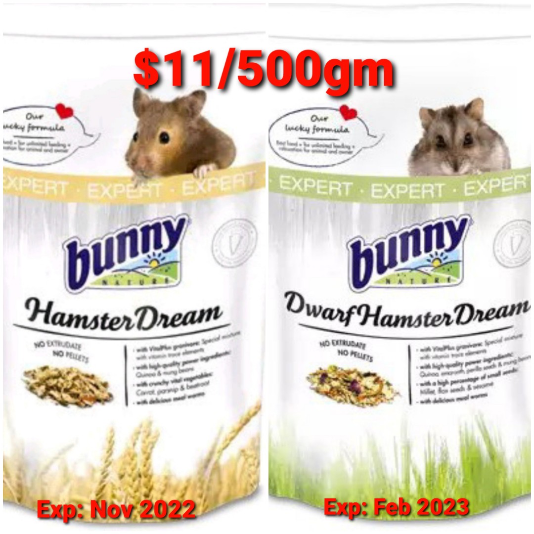 Bunny hamster dream expert on sale