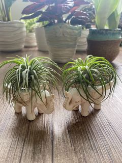 (Category: ) located in . Submitted by growforlife (Listing ID 1123306052, Image 1). Description: .