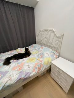 （分類：）位於 。 由 kamkam129 提交（商品編號 1123161784，圖片 1）。簡介： 。
