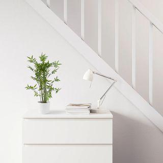 Bamboo faux (50% off!) plant