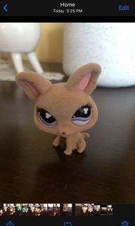 (Category: ) located in . Submitted by vanessadamiani14 (Listing ID 1123141393, Image 1). Description: .