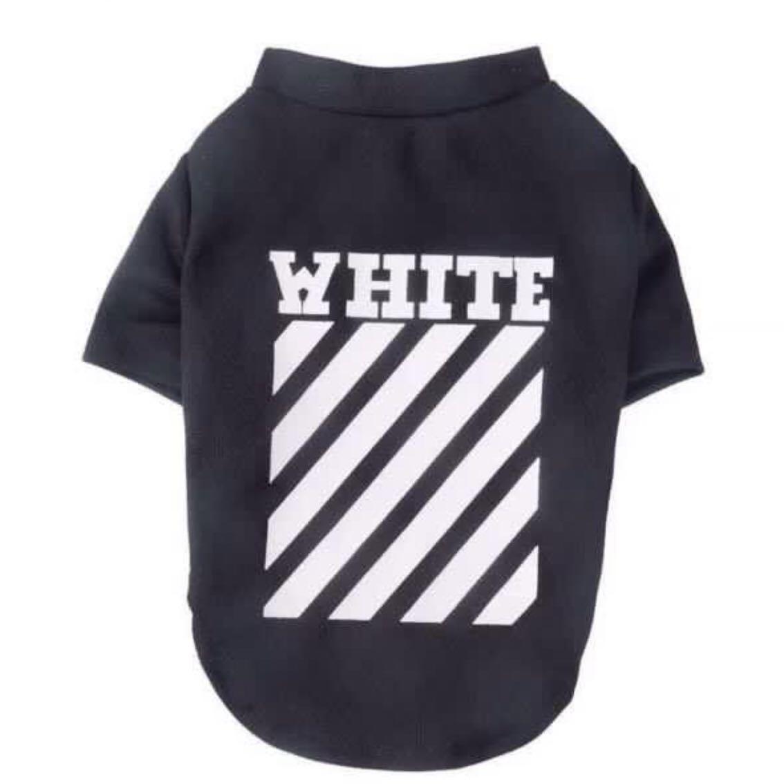 Cute best sale champion clothes