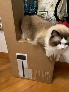 （分類：）位於 。 由 zss2000 提交（商品編號 1123165492，圖片 1）。簡介： 。