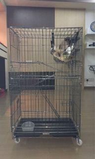 Used Cat collapsable cage, Pet Supplies, Pet Accessories on Carousell