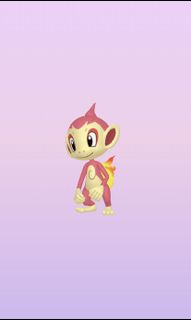 （分類：）位於 。 由 rothy_rothy 提交（商品編號 1126832354，圖片 1）。簡介： 。