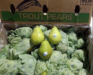Australia Anjou Pears 40pcs