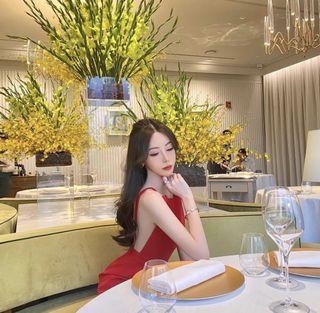 BN Miu Miu Cady Bow Dress