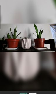 (Category: ) located in . Submitted by dimalaj3 (Listing ID 1126876618, Image 1). Description: .