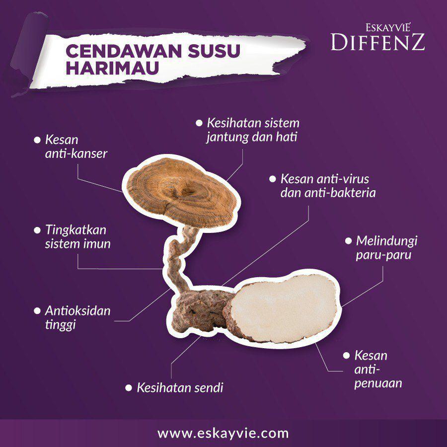 Diffenz and Diffenz Junior (Category: Vitamins & Supplements) located in Singapore. Submitted by halimboncet (Listing ID 1126843337, Image 4). Description: Selling this Vitamin for adults and kids...its for immune system.. selling at $25/btl with $5 delivery or $50 for 2btls with free delivery...