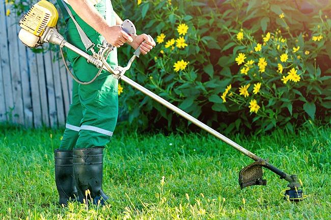 Cutter grass hot sale
